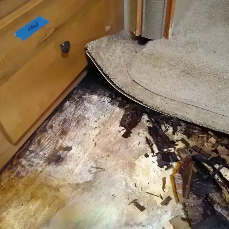 Wood Floor Water Damage in Saginaw, MI